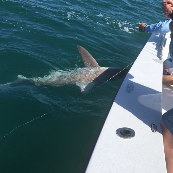 Meet your Posher, Dominic - Picture 2 of 8